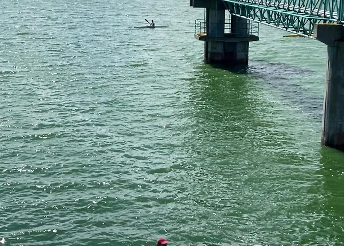 Apartament Seashell Consolacao Atouguia Da Baleia