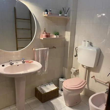 Seashell Consolacao *