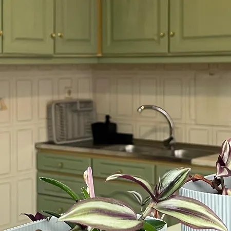 Seashell Consolacao 阿通奎亚·达·巴利亚