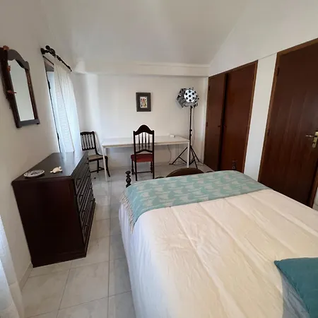 Seashell Consolacao *