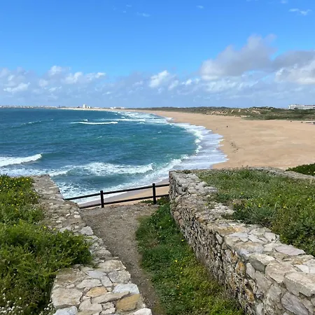 Seashell Consolacao
