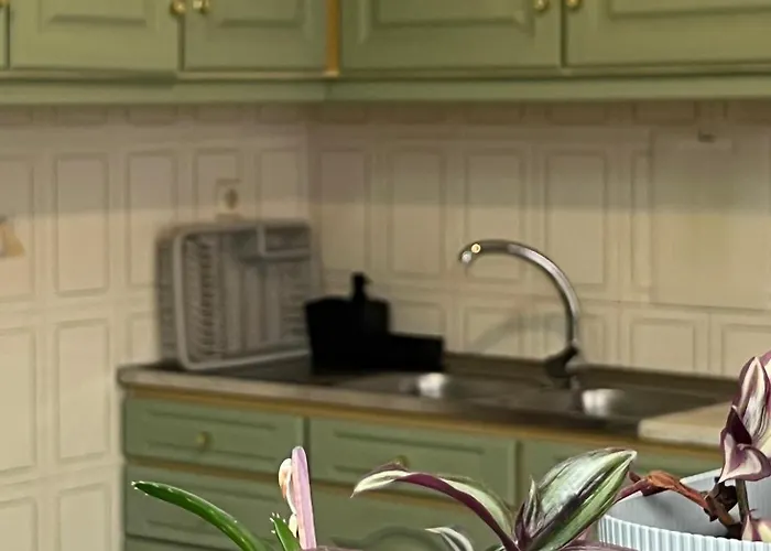 Seashell Consolacao 아토우기아다발레이아