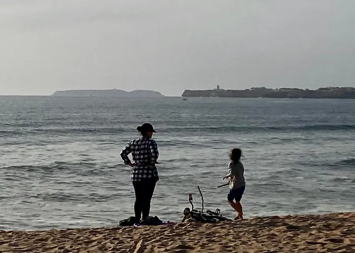 Seashell Consolacao * 아토우기아다발레이아